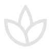 minimalist lotus flower outline symbolizing elegance and comfort